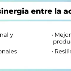 Beneficios de la sinergia entre actitud y aptitud: crecimiento profesional, relaciones fortalecidas, mejor rendimiento y resiliencia.