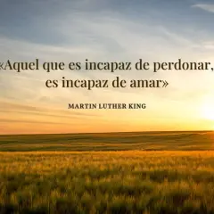 Atardecer sobre un campo de trigo. La cita de Martin Luther King, "Aquel que es incapaz de perdonar, es incapaz de amar", inspira frases para pedir perdón por mi actitud.