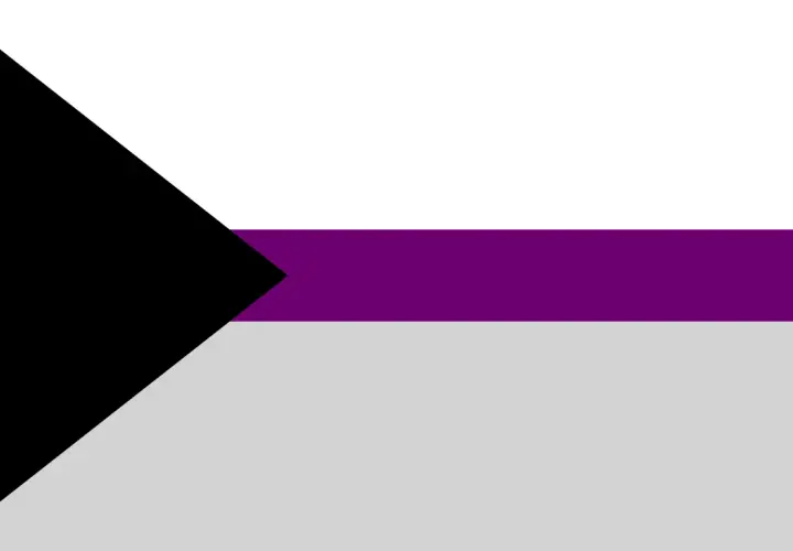 Bandera demisexual: negro, morado y gris. Representa la atracción sexual que solo ocurre tras un vínculo emocional.