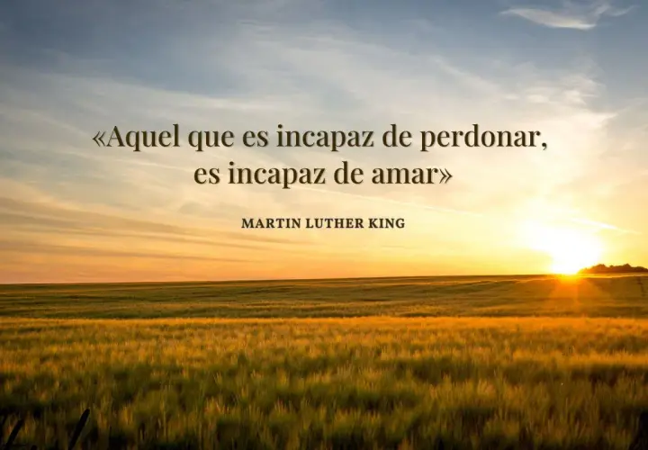 Atardecer sobre un campo de trigo. La cita de Martin Luther King, "Aquel que es incapaz de perdonar, es incapaz de amar", inspira frases para pedir perdón por mi actitud.