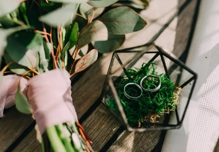 Anillos de boda en musgo dentro de un terrario de vidrio, junto a un ramo con flores y velo rosa. Celebrando un aniversario boda 5 años.