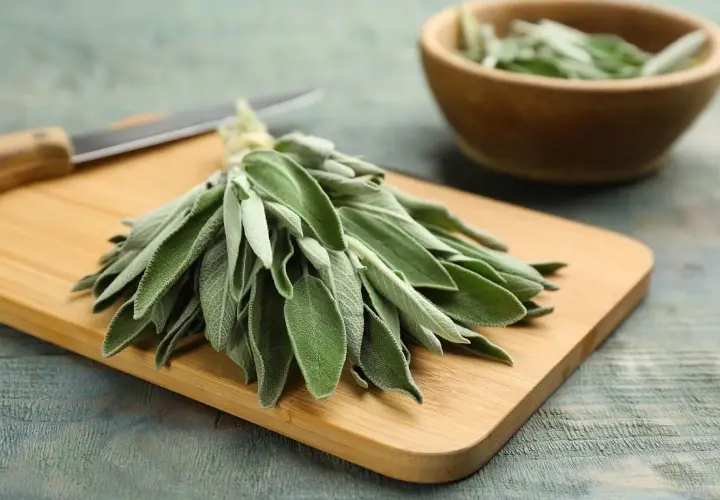 Manojo de salvia fresca sobre tabla de cortar, listo para aprovechar sus propiedades culinarias y medicinales.