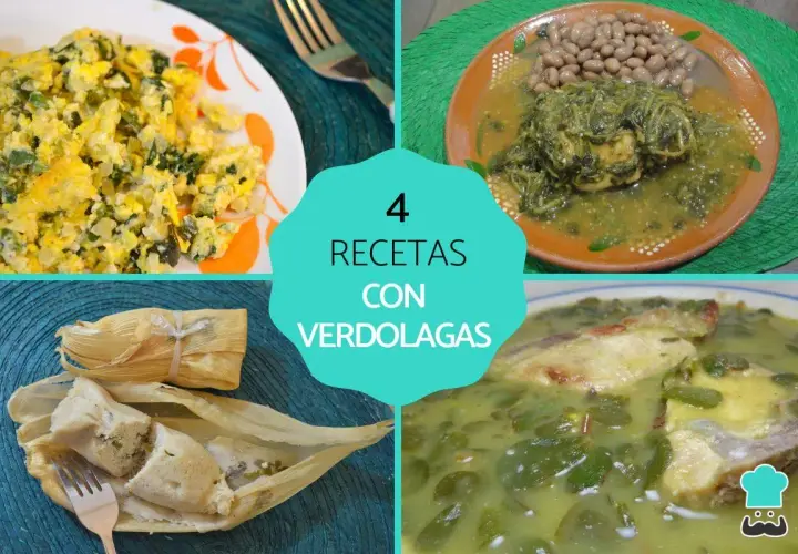 Cuatro recetas con verdolagas: revuelto, con frijoles, tamales y en caldo. Descubre las verdolaga propiedades en estas delicias.