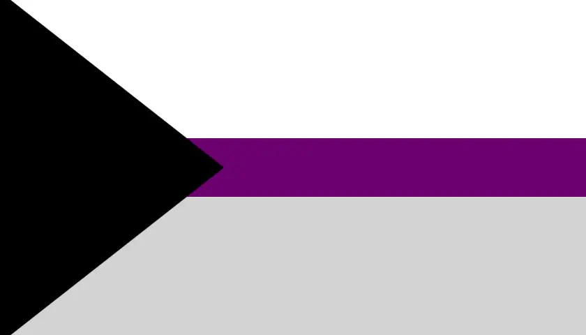 Bandera demisexual: negro, morado y gris. Representa la atracción sexual que solo ocurre tras un vínculo emocional.