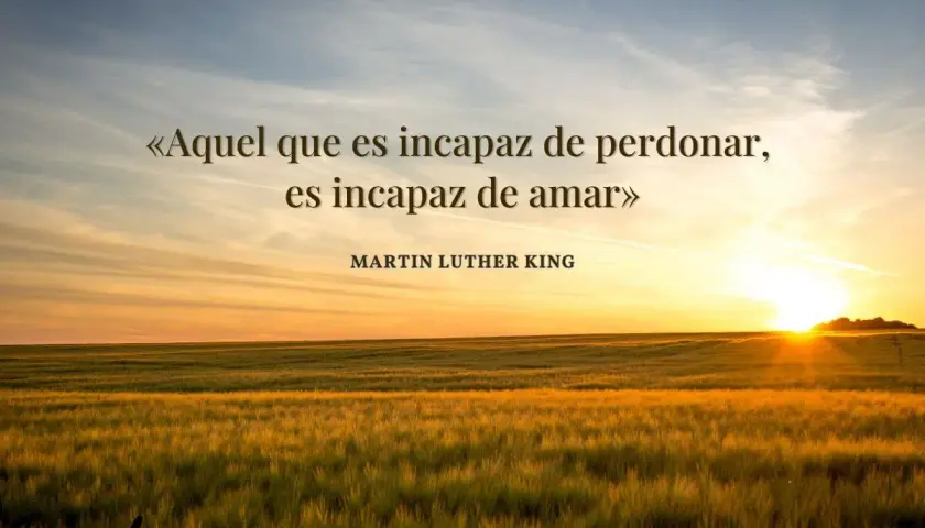 Atardecer sobre un campo de trigo. La cita de Martin Luther King, "Aquel que es incapaz de perdonar, es incapaz de amar", inspira frases para pedir perdón por mi actitud.