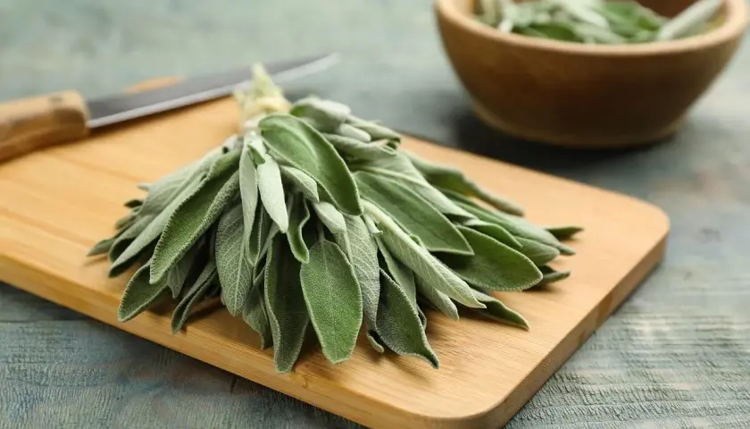 Manojo de salvia fresca sobre tabla de cortar, listo para aprovechar sus propiedades culinarias y medicinales.