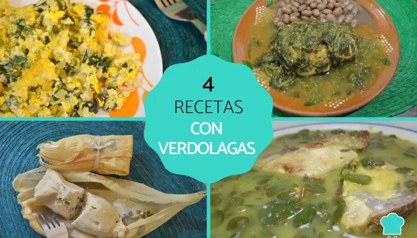 Cuatro recetas con verdolagas: revuelto, con frijoles, tamales y en caldo. Descubre las verdolaga propiedades en estas delicias.