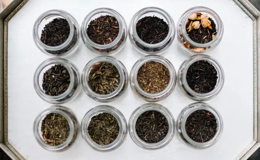 Tipos de infusiones - guía para elegir la mejor en cada momento