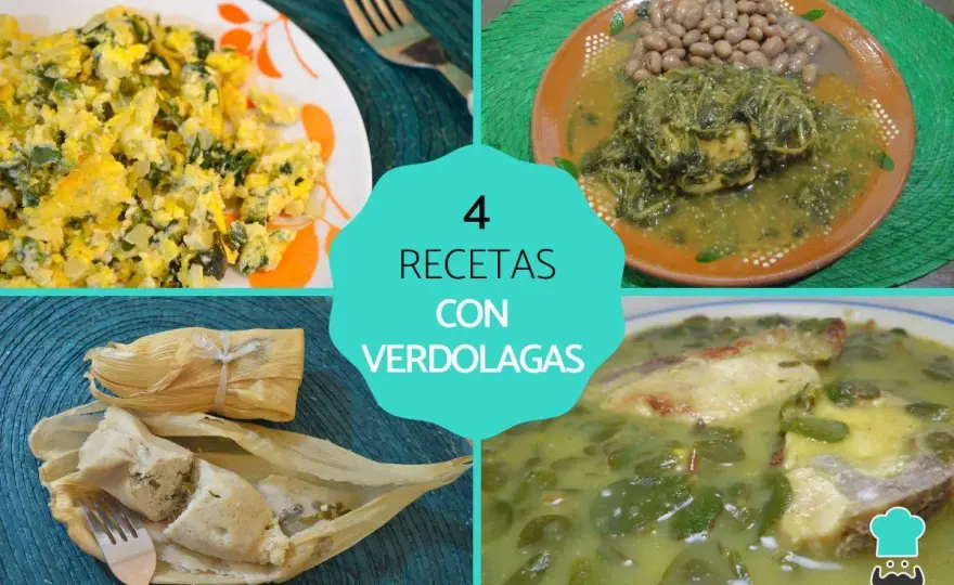 Verdolaga - qué aporta y cómo aprovecharla en la cocina