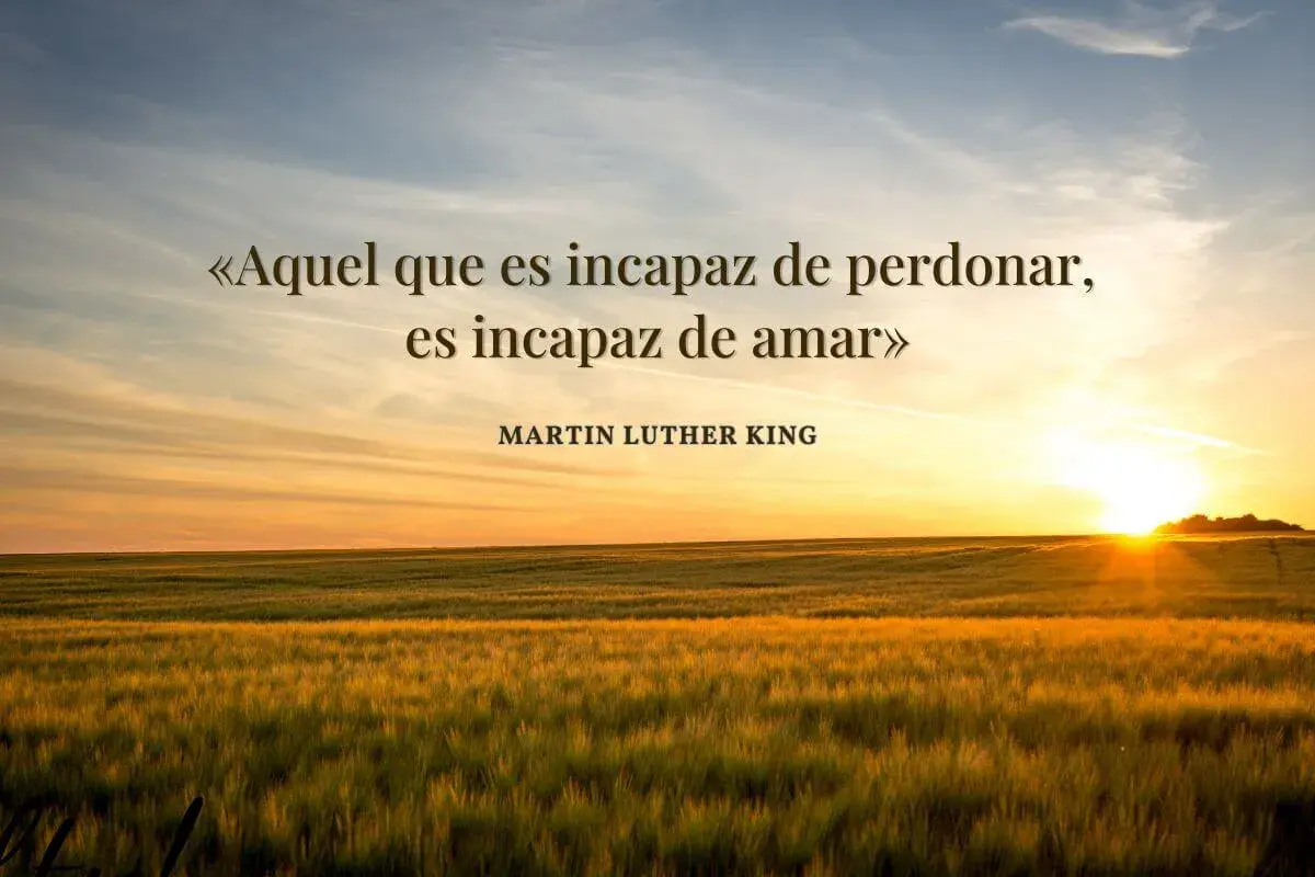 Atardecer sobre un campo de trigo. La cita de Martin Luther King, "Aquel que es incapaz de perdonar, es incapaz de amar", inspira frases para pedir perdón por mi actitud.