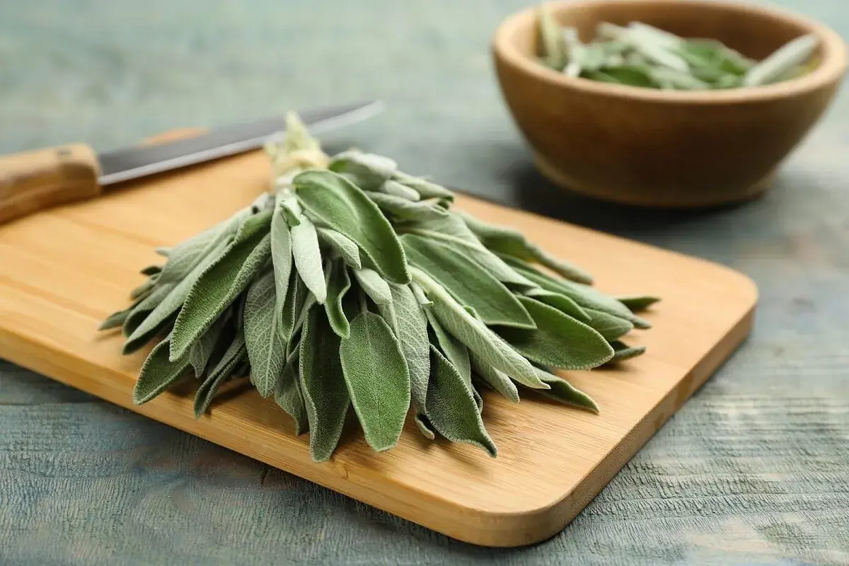 Manojo de salvia fresca sobre tabla de cortar, listo para aprovechar sus propiedades culinarias y medicinales.