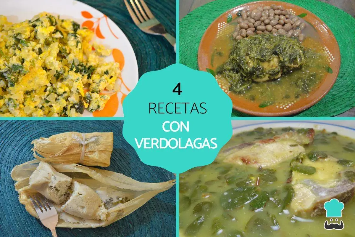Cuatro recetas con verdolagas: revuelto, con frijoles, tamales y en caldo. Descubre las verdolaga propiedades en estas delicias.