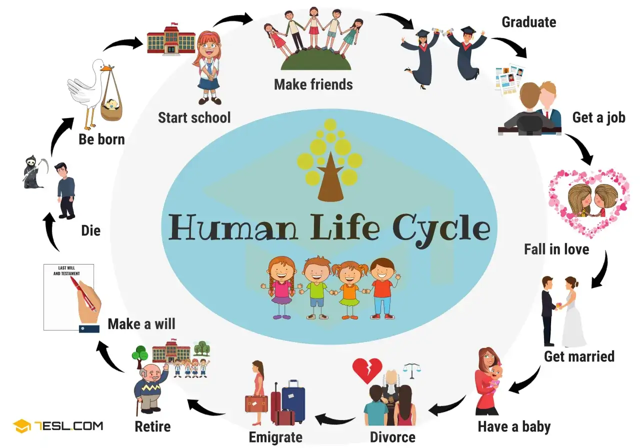 Ciclo de vida humano: nacimiento, escuela, amigos, graduaci&oacute;n, trabajo, amor, matrimonio, hijos, divorcio, emigraci&oacute;n, jubilaci&oacute;n, testamento y muerte. Estas son las etapas de la vida.