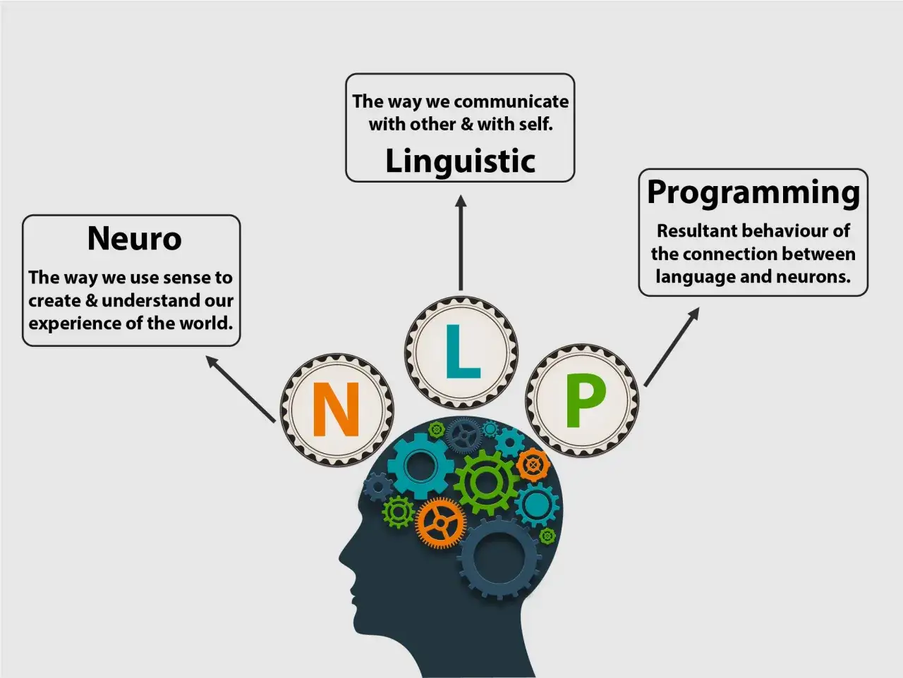El PNL que es: Neuro (sentidos), Lingüístico (comunicación) y Programación (comportamiento) se unen en la mente.