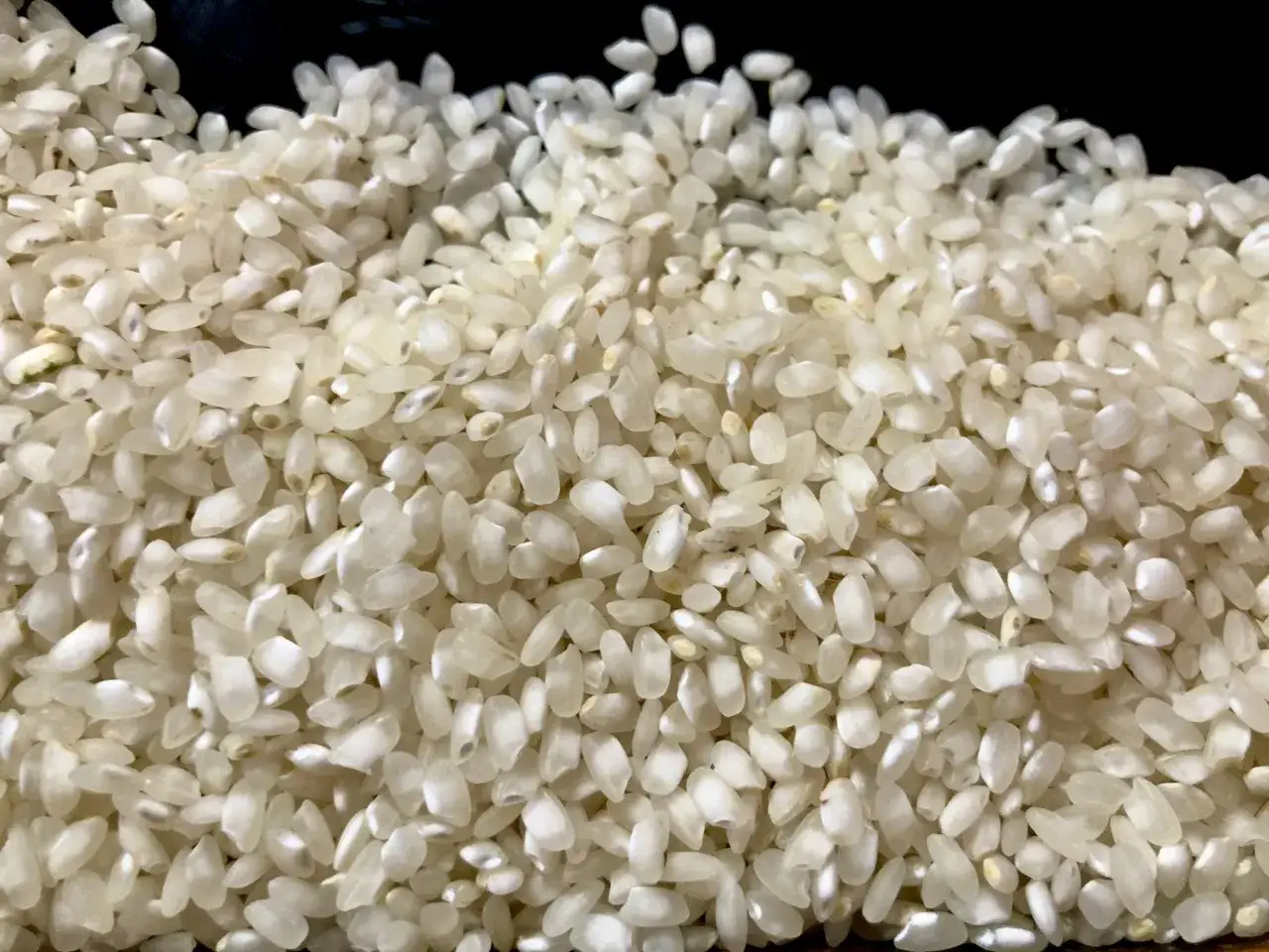 Granos de arroz blanco, perfectos para crear el mejor arroz para paella. Su textura absorbe el sabor y queda suelto.